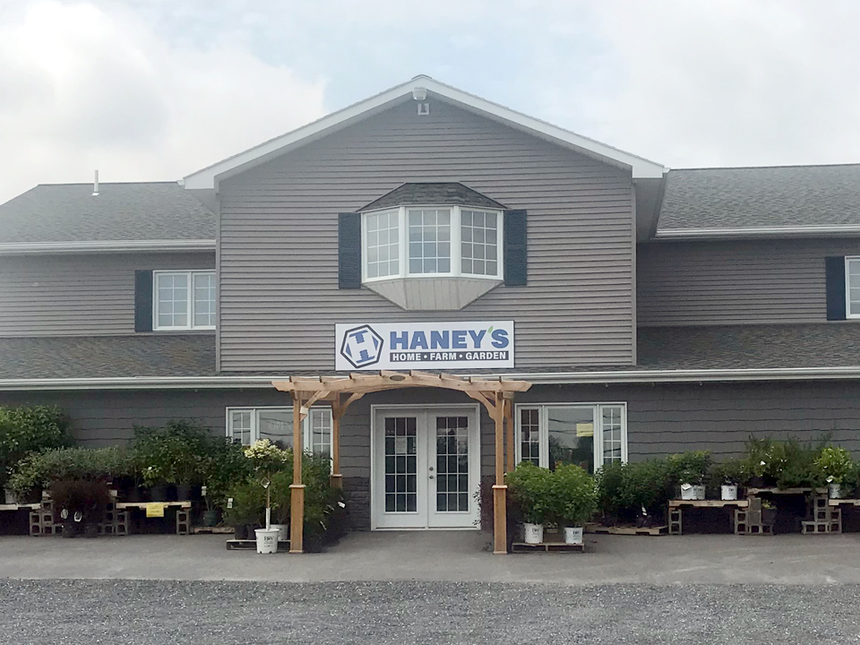 about-us https://shophaneys.com/wp-content/uploads/2025/12/about-us.jpg