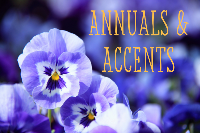 https://shophaneys.com/wp-content/uploads/2026/04/Click-Images-Annuals-and-Accents-Catalog.png