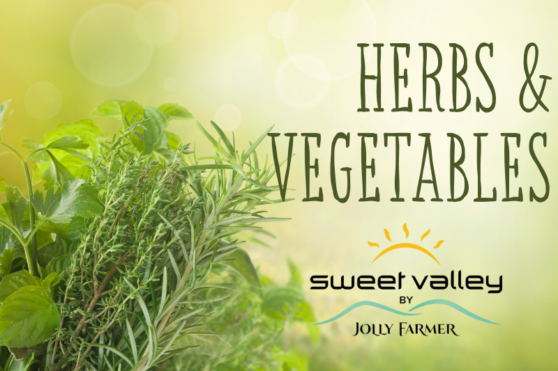 https://shophaneys.com/wp-content/uploads/2026/04/Click-Images-Herb-and-Veggie-Catalog-1.png